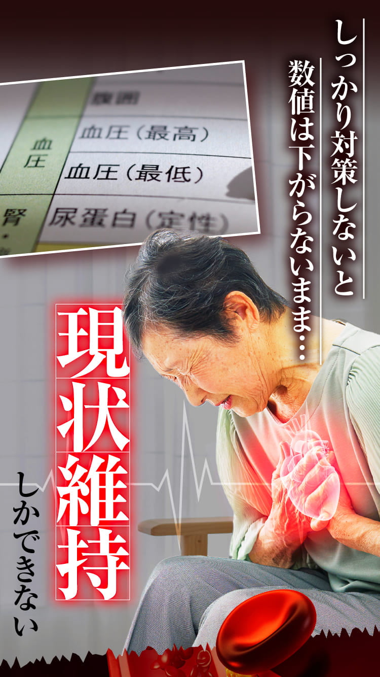 根本の動脈硬化から改善すると血圧が下がる