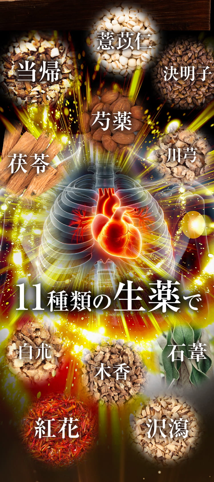 今まで不安だった方も血圧降下