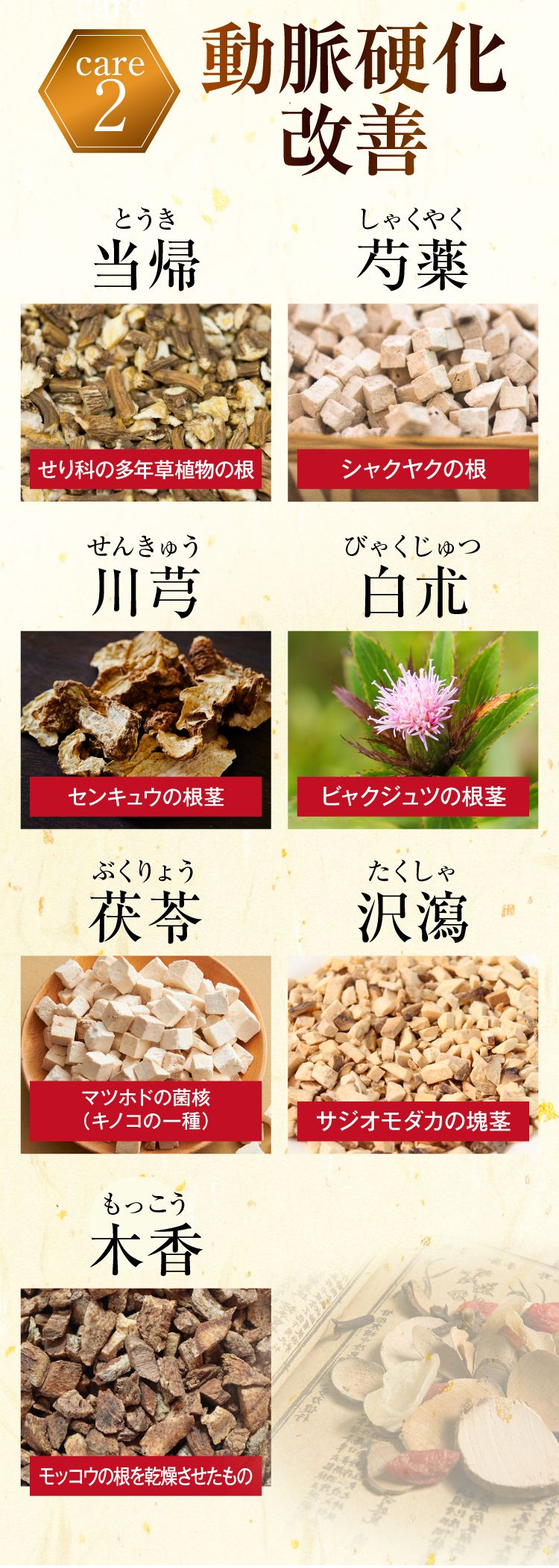 ケア②動脈硬化